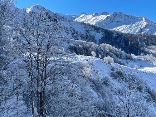 WhatsApp-Image-2025-11-22-a-19.12.26 b07b5989